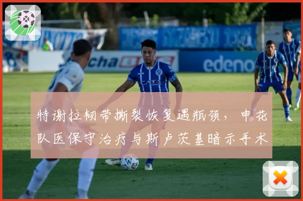 特谢拉韧带撕裂恢复遇瓶颈，申花队医保守治疗与斯卢茨基暗示手术方案冲突