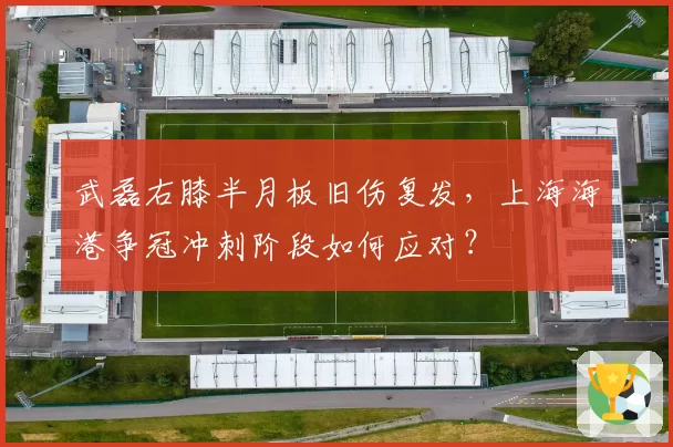 武磊右膝半月板旧伤复发，上海海港争冠冲刺阶段如何应对？