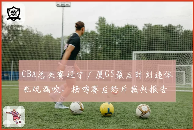 CBA总决赛辽宁广厦G5最后时刻违体犯规漏吹,杨鸣赛后怒斥裁判报告形同虚设